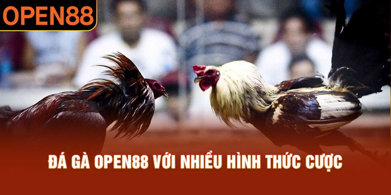 Nhiều loại h&igrave;nh cược th&uacute; vị tại đ&aacute; g&agrave; Open88
