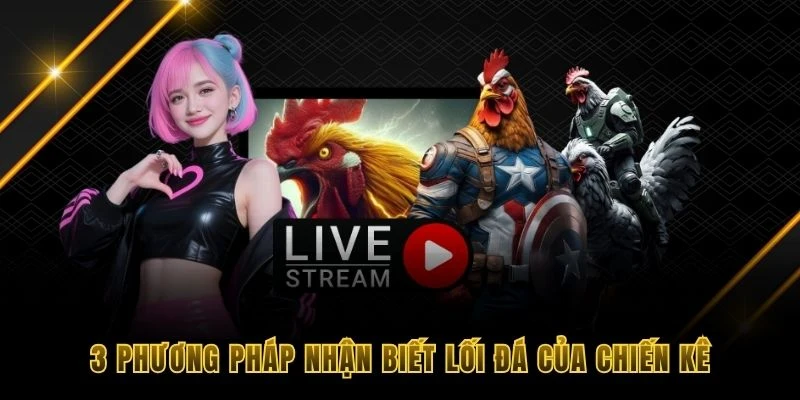3 phương ph&aacute;p nhận biết lối đ&aacute; của chiến k&ecirc;